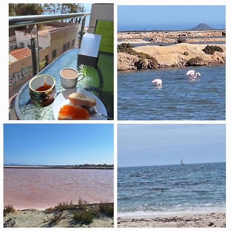 Nice Apartment With Terrace On The Los Locos Beach 托雷维耶哈 外观 照片