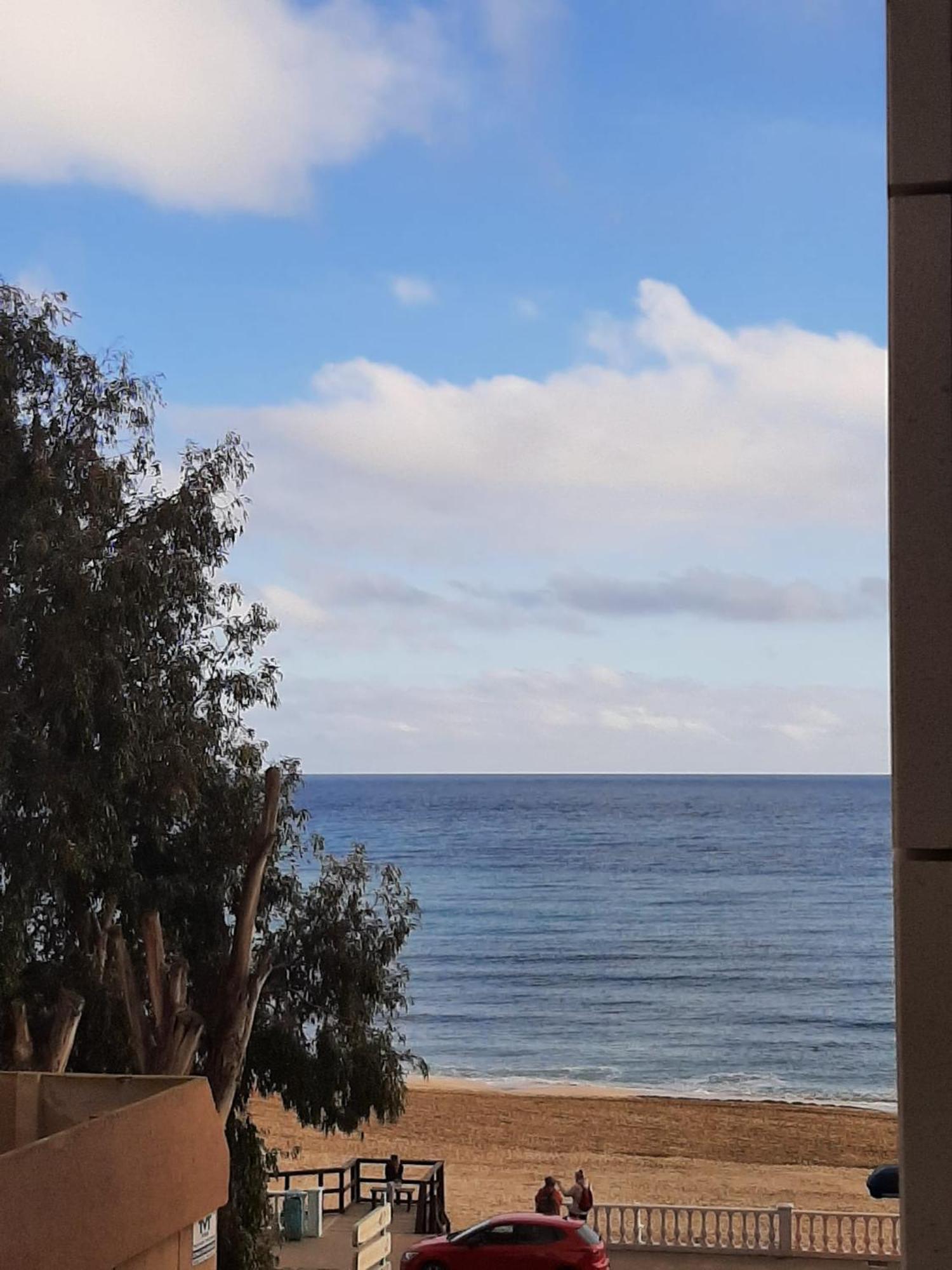 Nice Apartment With Terrace On The Los Locos Beach 托雷维耶哈 外观 照片